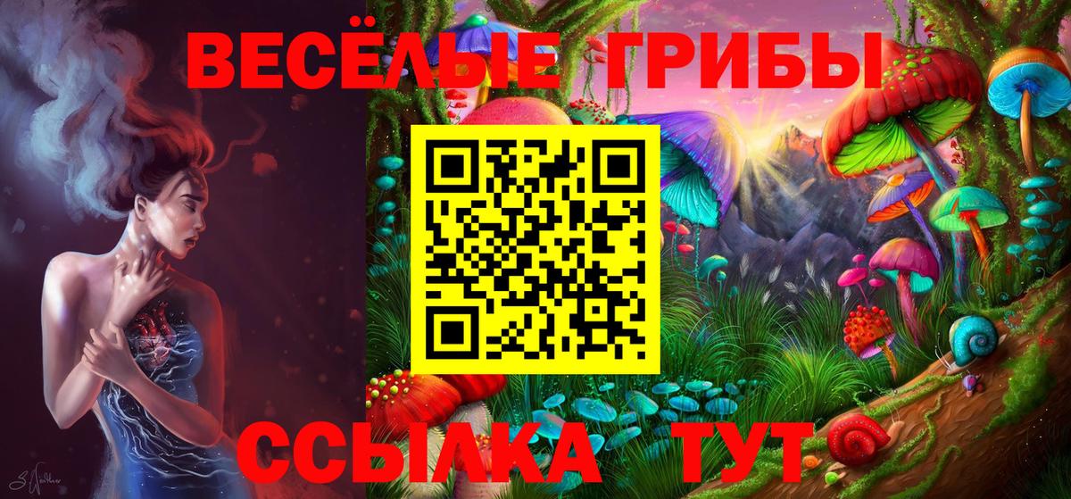 Галлюциногенные грибы Magic Shrooms  Псилоцибиновые грибы Psilocybine cubensis  Канск  Вход с VPN 