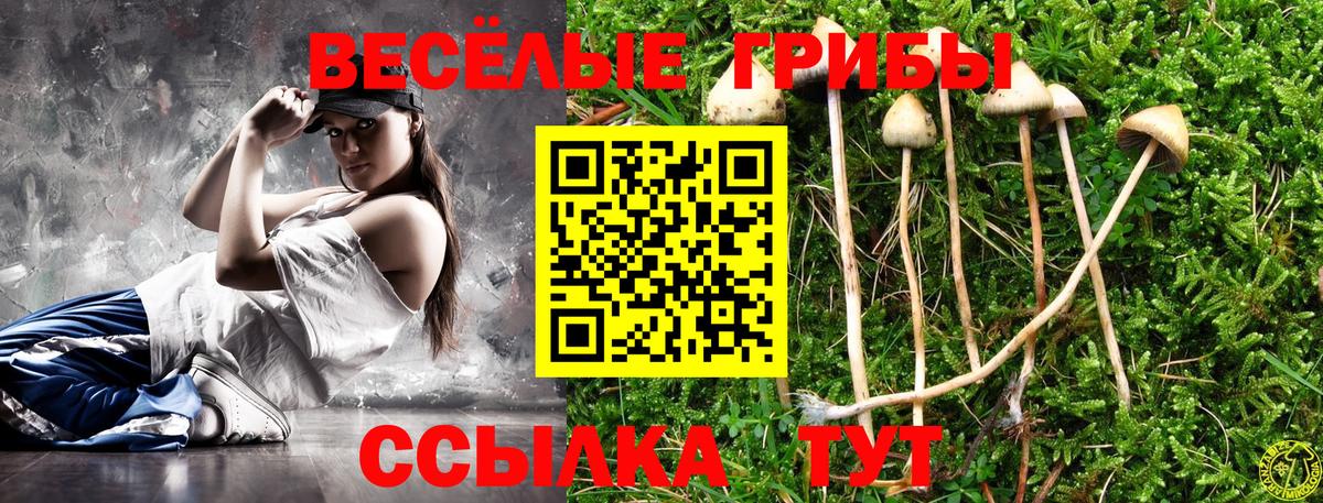 Галлюциногенные грибы Psilocybine cubensis Канск