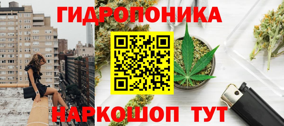 Бошки Шишки планчик Канск
